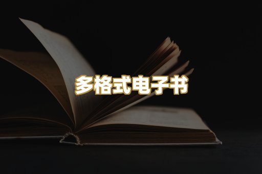 多格式电子书